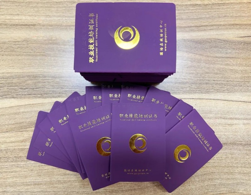 利亚德学习发展中心创新发展 为职业技能培训与认证合作开辟新路径(图1)