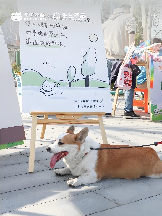 杭州社区动物文明日活动圆满落幕，生生不息携手市政共筑宠物友好城市新生态(图2)